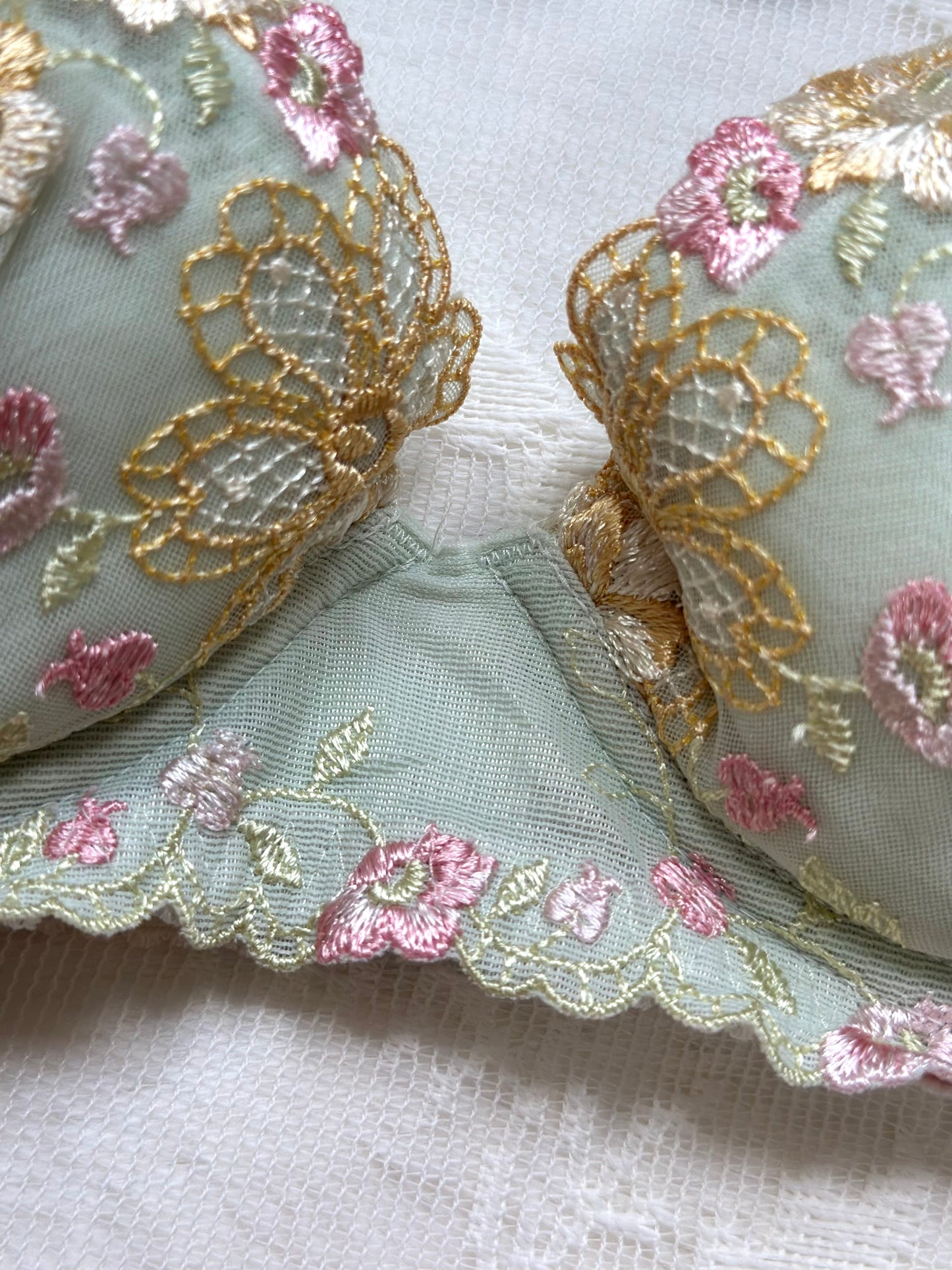 Enchanted Mint Green Bustier Bra