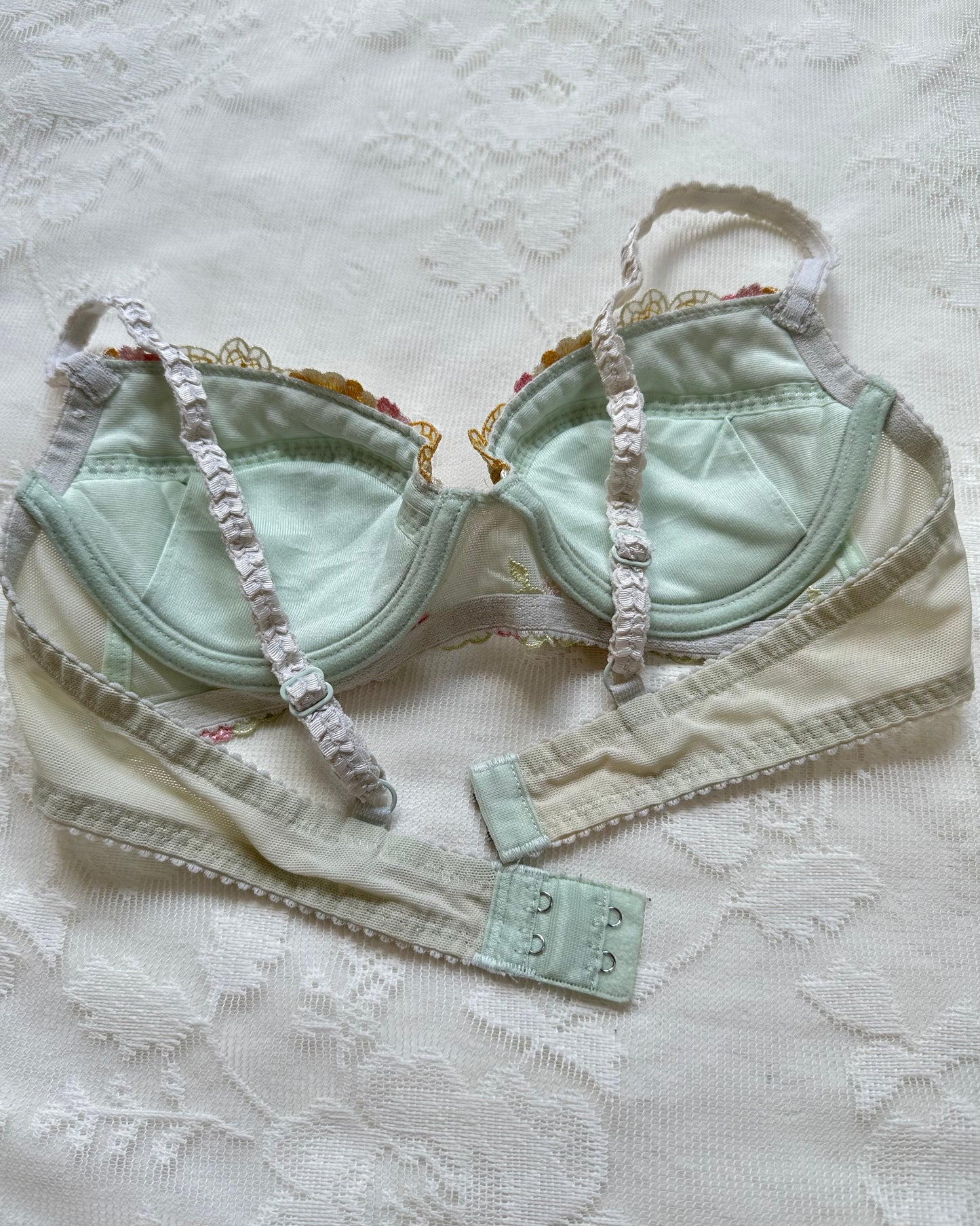 Enchanted Mint Green Bustier Bra