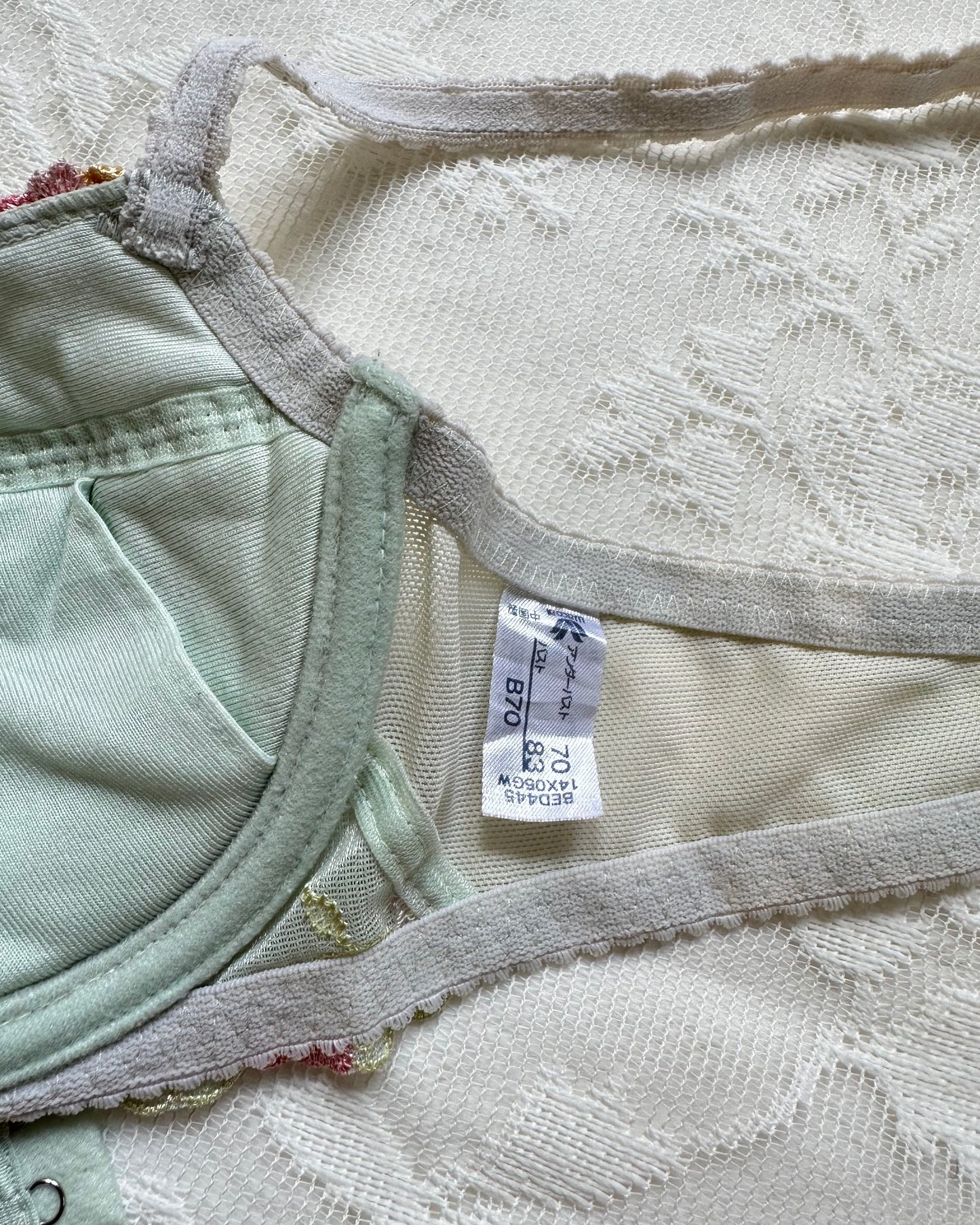 Enchanted Mint Green Bustier Bra